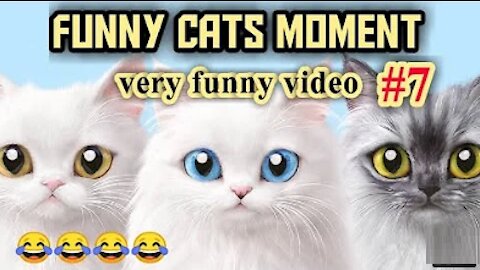 Baby cats - cute and funny cat videosCompilation #7 | Aww animals