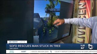 Crews rescue man stuck in tree
