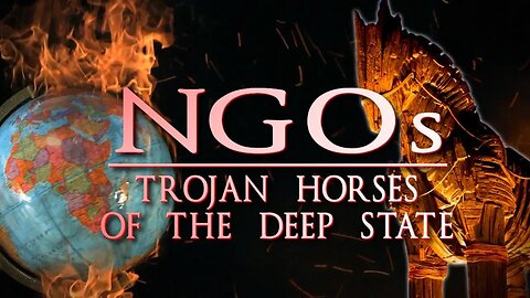 NGOs Are The Deep State's Trojan Horses