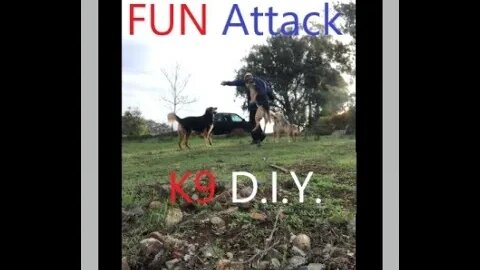 Working Ranch Dogs | Liberty Work Agility and Fun Attack K9 D.I.Y in 4D