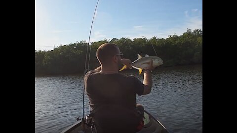 DCFloridasport Five Minutes Five Jack Crevalle