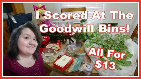 I Scored At The Goodwill Bins! I Goodwill Outlet Haul I Thrift Haul