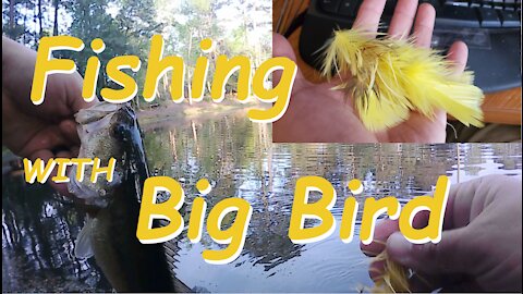 Fishing the Big Bird Bass Bug