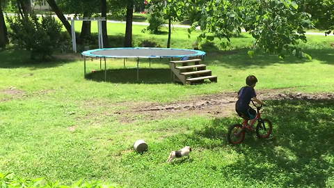 "Boy Plays Outdoors With His Pet - A Mini Pig"