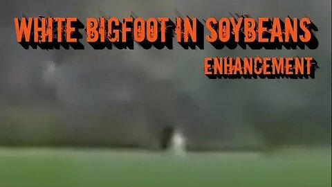 White Bigfoot in Soybeans | Enhancement