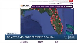 Domestic violence spending scandal