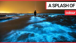 Photographer in awe after dipping hand in bio luminescent algae