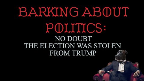 Barking About Politics: No Doubt The Election Was Stolen From Trump