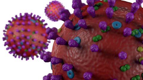 Coronavirus (COVID-19) Stock Footage 3D Animation