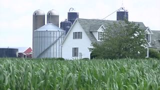 Tariffs could cost WNY farmers big bucks despite federal aid