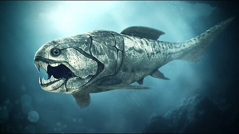 Dunkleosteus - Ancient Animal