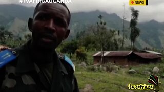 COMBATING MILITIA: Militia execute 17 hostages in DR Congo hotspot