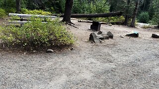 CAMPSITE #15, 2ND BEST CAMPSITE @ Soda Springs Campground! | Bumping River | Okanogan-Wenatchee | 4K