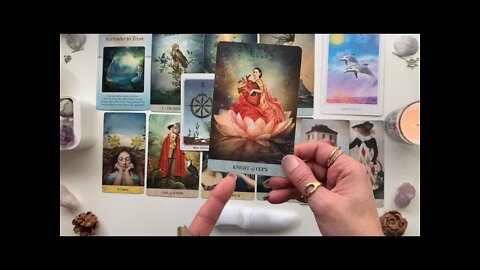Aries | They Want To Get Your Relationship Back on Track! Charting A New Course! ☸️ January Tarot 🔮