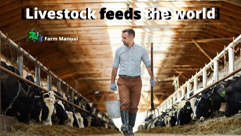 Farm | Livestock feeds the world