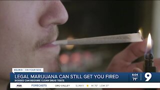 Legal or not, Marijuana can still get you fired