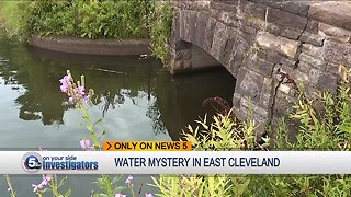 East Cleveland residents concerned about fish kill at Forest Hill Park pond
