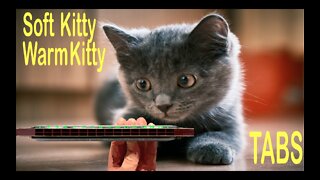 How to Play Soft Kitty Warm Kitty on a Tremolo Harmonica with 16 Holes