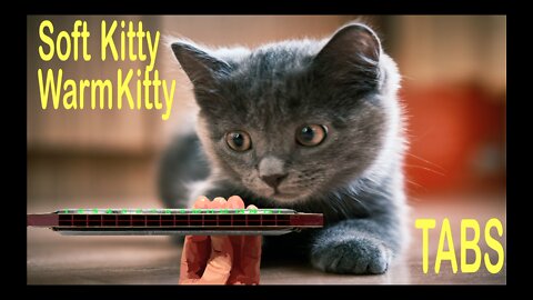 How to Play Soft Kitty Warm Kitty on a Tremolo Harmonica with 16 Holes