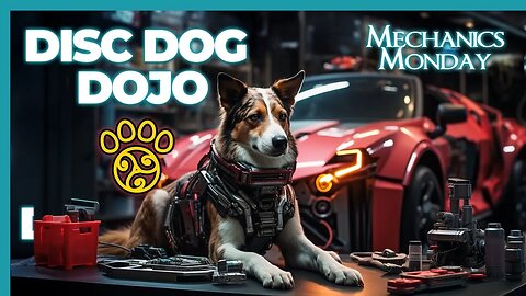 Mechanics Monday: Master the Mechanics of Marking & More | DiscDog Dojo #139 🐶🥏🥋🛠️