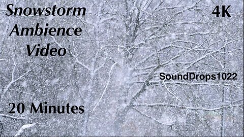 Snowy Tranquility: 20 Minutes Nature Sounds