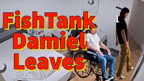 FishTank Damiel Leaves