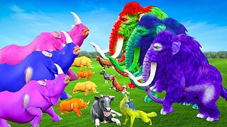 5 Zombie Mammoths Saves Cow Life Vs 5 Zombie Rhino Epic Fight Vs Mammoth Elephant Epic Battle Fight