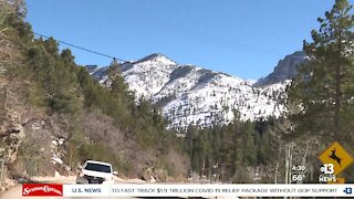 Busy day at Mount Charleston