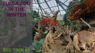 Animals Indoor and Out at the Tulsa Zoo! What is There to See?! | BEC Trek Episode 2 (part 2)
