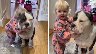 Little Girl Loves Hugging Her Gentle Bulldog Friend