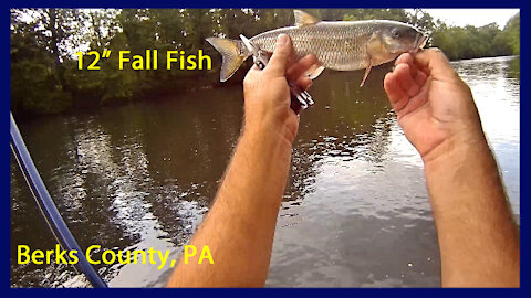 Wade Fishing The Schuylkill River