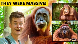 Flying To Borneo Just For That ONE MOMENT! A Crazy Wildlife Experience