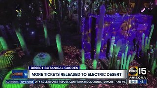 More tickets released for the Electric Desert