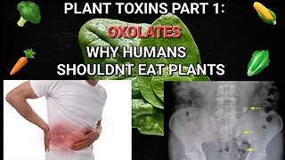 Plant Toxins Part 1: OXOLATES | Why humans shouldn't eat plants