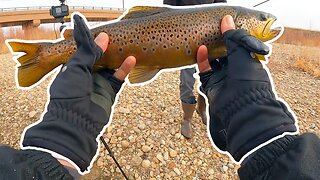 Early Spring Fishing for Big Brown Trout!