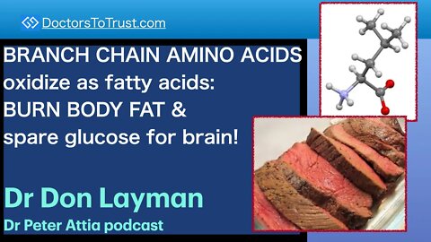 DON LAYMAN 11 | BRANCH CHAIN AMINO ACIDS oxidize as fatty acids: BURN FAT & spare glucose for brain!