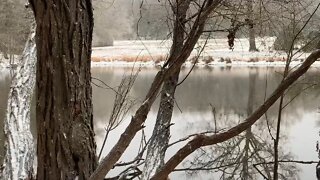 Peaceful Snowy Day