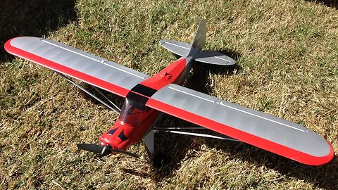 E-Flite UMX Carbon Cub SS BNF RC Plane in Strong Winds at Bell Air RC Field in Ferndale, WA