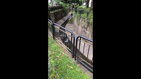Pandan River Canal in Bukit Batok, Singapore, Jul 24