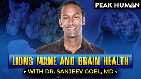 Lions Mane and Brain Health