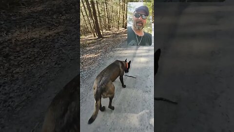 blow off some steam with a dog training and a hike