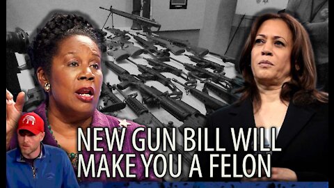 New Gun Bill Will Make You an Instant FELON