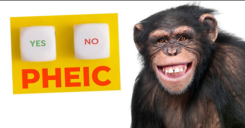 Monkeypox | Is the World Health Organization Going to Declaring a PHEIC? (Public Health Emergency of International Crisis)