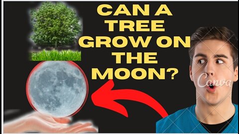 Can a tree grow on the moon? #shorts #naxday #moon #trees #moonlight