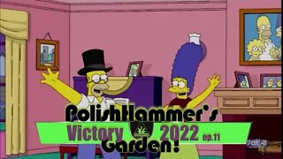 Victory Garden ep 11 "Mashed Potatoes!" 🍅🥒🥔🔨🌤😎