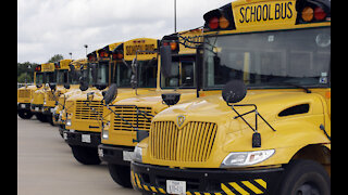 'People are not even applying.' Michigan dealing with bus driver shortage as school year nears