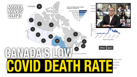 Recent statistics show COVID death numbers plummeting across Canada