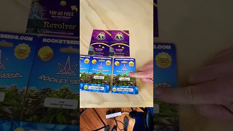 Rocket Seeds SKUNK Next Season! #cannabisgrower #RocketSeeds