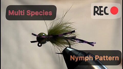 Multi Species Jig/Fly