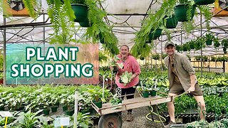 GOING TO THE GROWERS - Greenhouse plant shopping with AJ